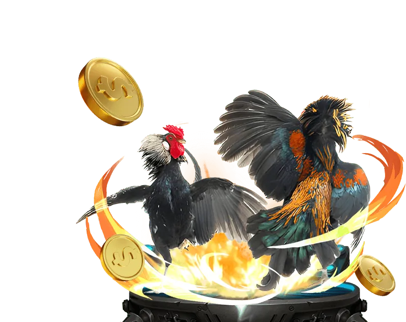 Nền tảng an toàn minh bạch 188bet Hiphop